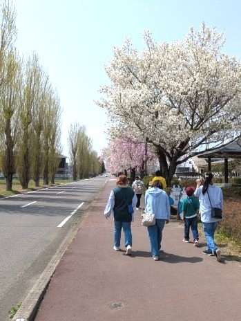 株式会社星産業　お花見